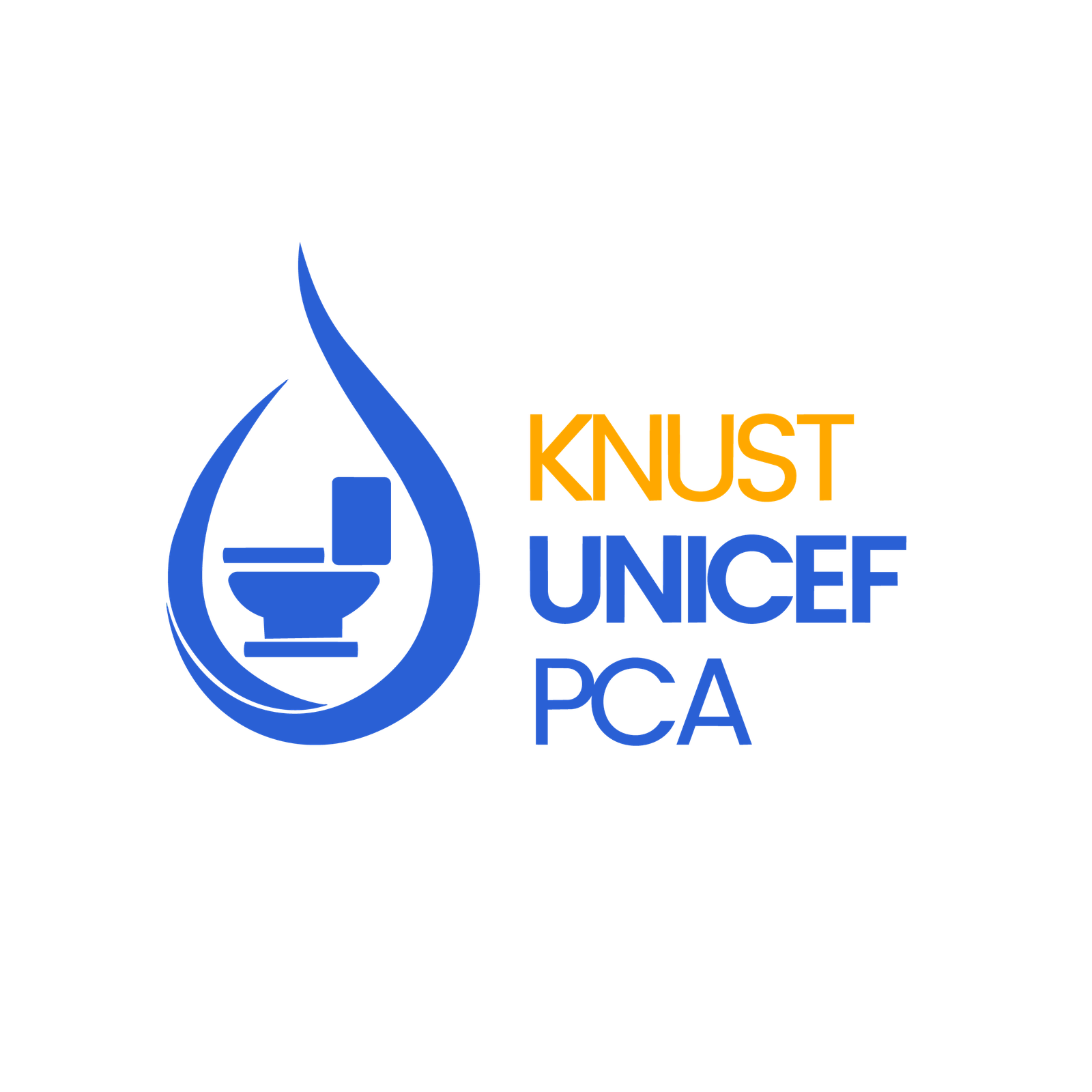 KNUST UNICEF PCA
